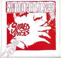 Guided By Voices : Same Place the Fly Got Smashed